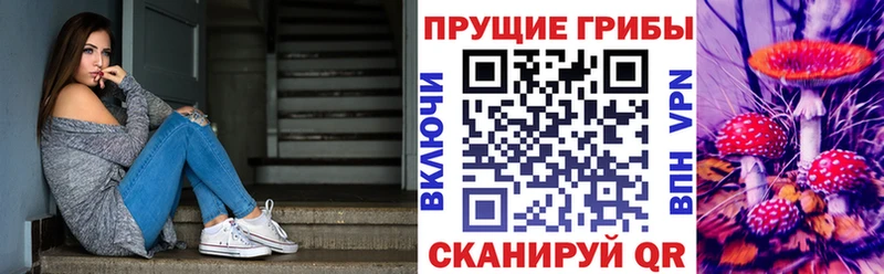 Псилоцибиновые грибы Cubensis  Купить  Юрьев-Польский 