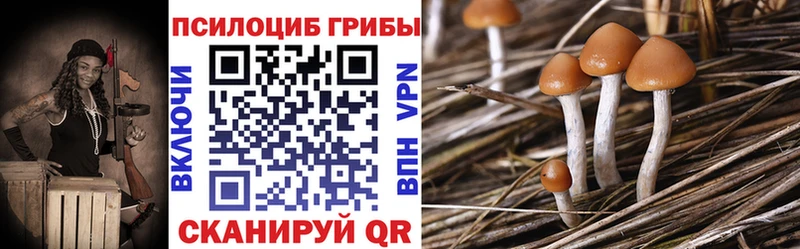 Галлюциногенные грибы Magic Shrooms Юрьев-Польский