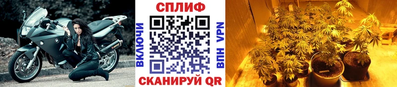 Купить  Юрьев-Польский  Шишки марихуана Bruce Banner 